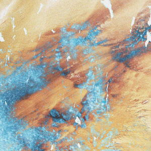 一条绮美香见子巨支
